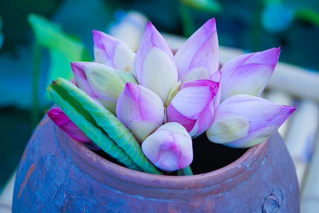 G41bb346b96d9b521454209854f360e712b9fb19bac4da095ee8c4cacb56795900b306943d18880f1a78ff71cddb0256f453a78044d75ef684e3c61704e5d8877 640