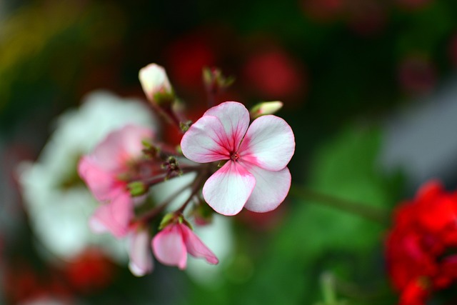 G681a32cd157ec93148d55f7bdf22bd49f86c471c61fde9906a3dc8759365d6fc22564d5b44948cc6a275c8825aa9d4b2ac638497a221f13393e3af6c752f9f37 640